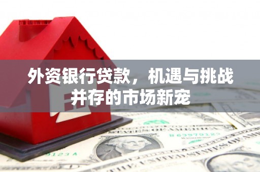 江川外资银行贷款，机遇与挑战并存的市场新宠