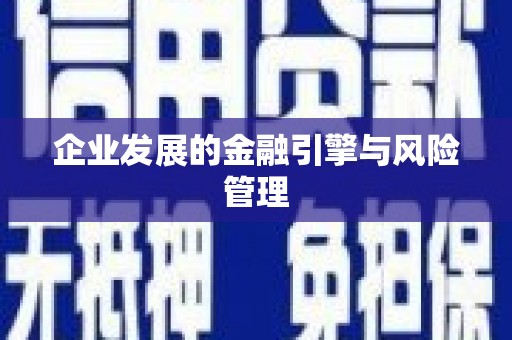 江川企业发展的金融引擎与风险管理