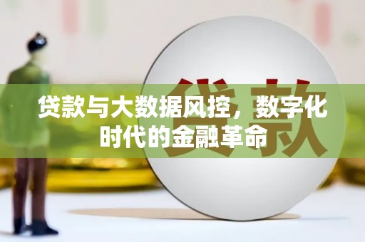 江川贷款与大数据风控，数字化时代的金融革命