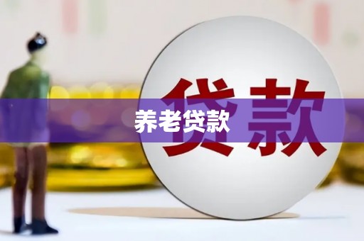 江川养老贷款