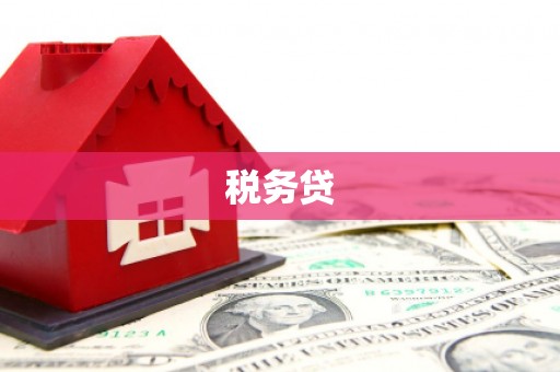江川税务贷