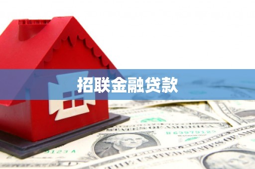 江川招联金融贷款