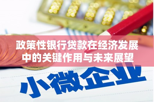 江川政策性银行贷款在经济发展中的关键作用与未来展望