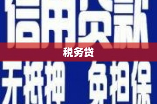 江川税务贷