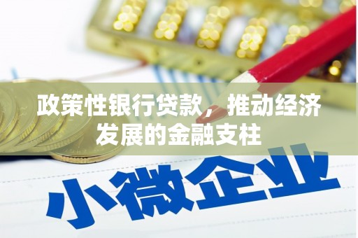 江川政策性银行贷款，推动经济发展的金融支柱