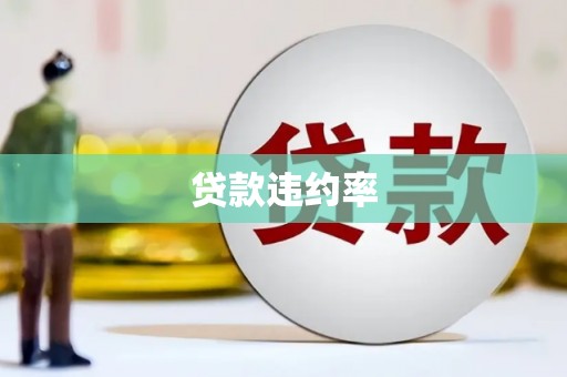 江川贷款违约率