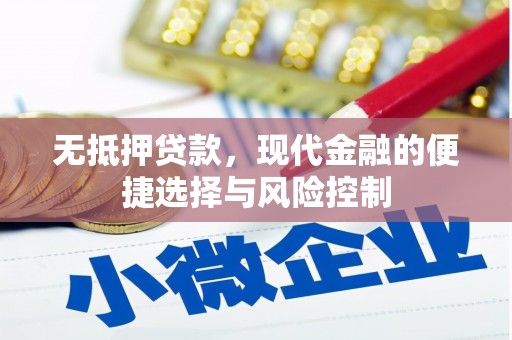 江川无抵押贷款，现代金融的便捷选择与风险控制