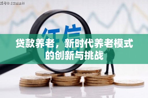 江川贷款养老，新时代养老模式的创新与挑战
