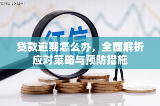 江川贷款逾期怎么办，全面解析应对策略与预防措施
