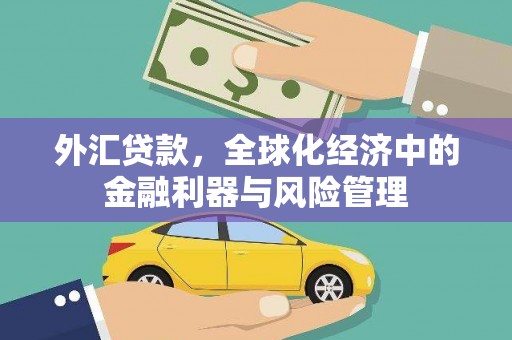 江川外汇贷款，全球化经济中的金融利器与风险管理