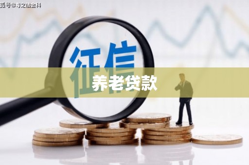 江川养老贷款