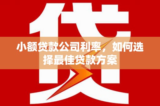 江川小额贷款公司利率，如何选择最佳贷款方案