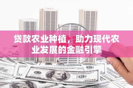 江川贷款农业种植，助力现代农业发展的金融引擎