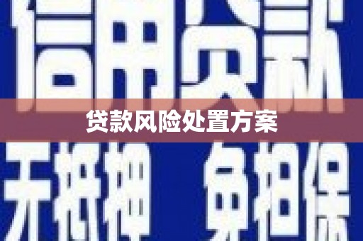 江川贷款风险处置方案