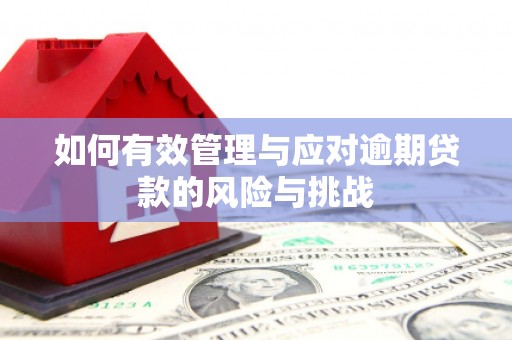江川如何有效管理与应对逾期贷款的风险与挑战