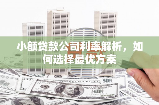 江川小额贷款公司利率解析，如何选择最优方案