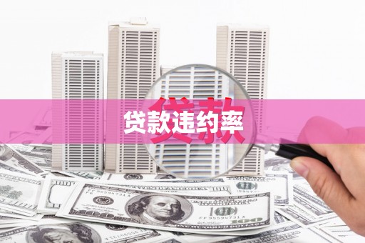 江川贷款违约率