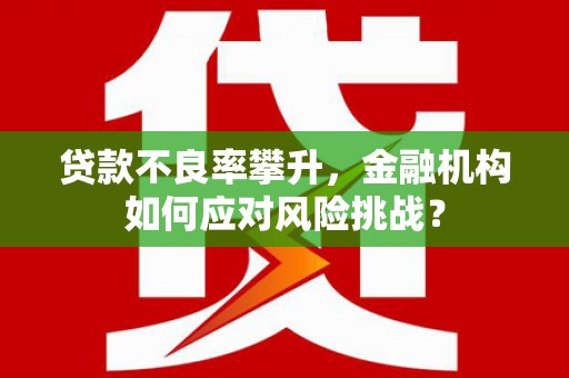 江川贷款不良率攀升，金融机构如何应对风险挑战？
