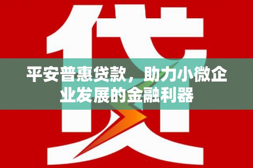 江川平安普惠贷款，助力小微企业发展的金融利器