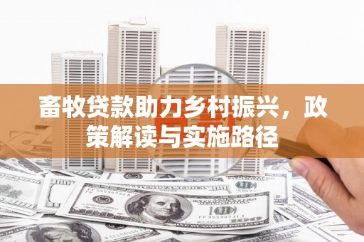 江川畜牧贷款助力乡村振兴，政策解读与实施路径