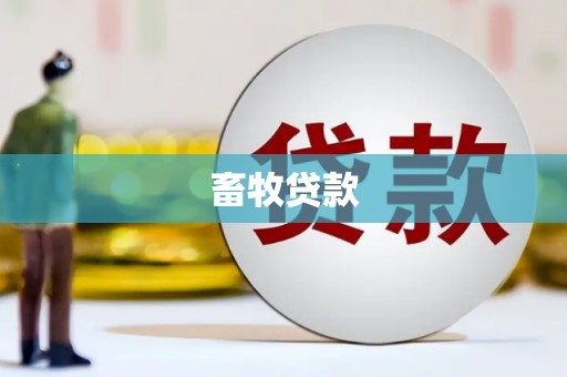 江川畜牧贷款