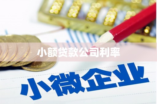 江川小额贷款公司利率