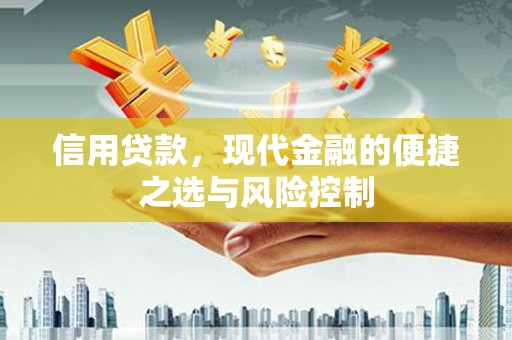 江川信用贷款，现代金融的便捷之选与风险控制