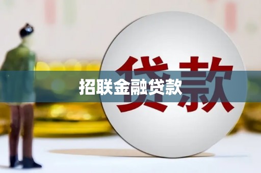 江川招联金融贷款