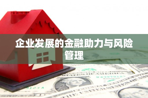 江川企业发展的金融助力与风险管理