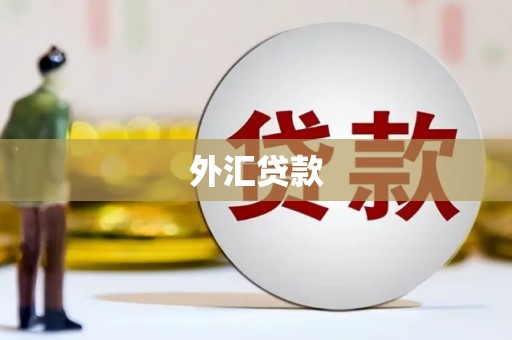江川外汇贷款