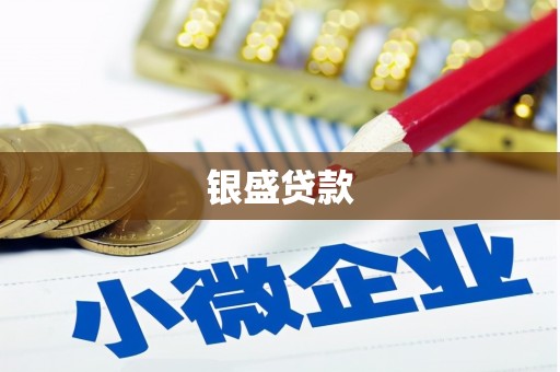 江川银盛贷款