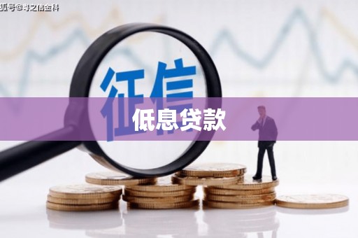 江川低息贷款