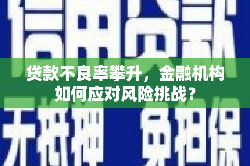 江川贷款不良率攀升，金融机构如何应对风险挑战？