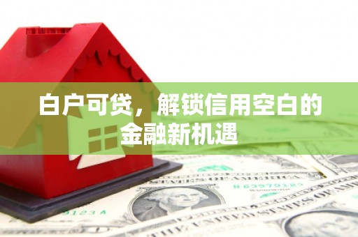江川白户可贷，解锁信用空白的金融新机遇