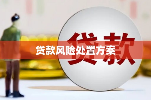 江川贷款风险处置方案