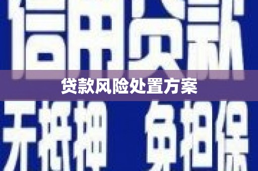 江川贷款风险处置方案