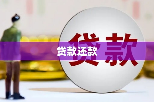 江川贷款还款