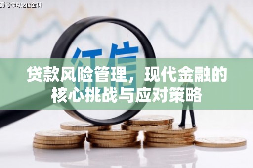 江川贷款风险管理，现代金融的核心挑战与应对策略