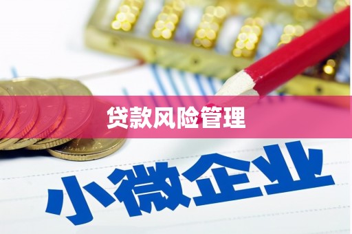 江川贷款风险管理