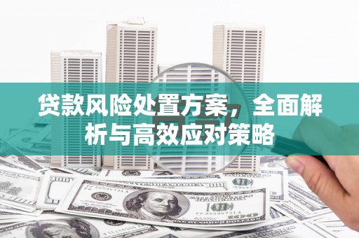 江川贷款风险处置方案，全面解析与高效应对策略
