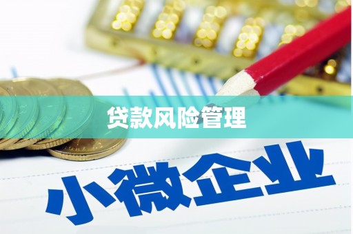 江川贷款风险管理