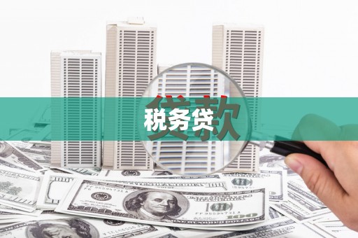 江川税务贷