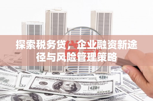 江川探索税务贷，企业融资新途径与风险管理策略