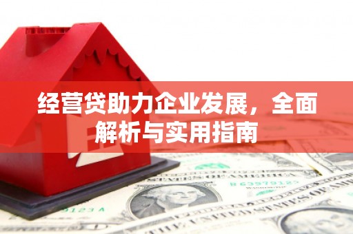 江川经营贷助力企业发展，全面解析与实用指南