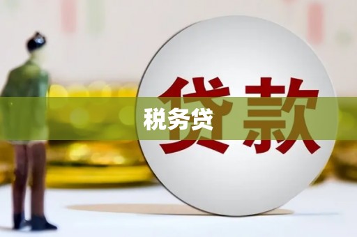 江川税务贷