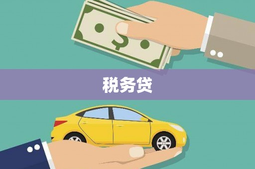 江川税务贷