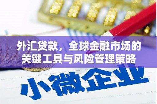 江川外汇贷款，全球金融市场的关键工具与风险管理策略
