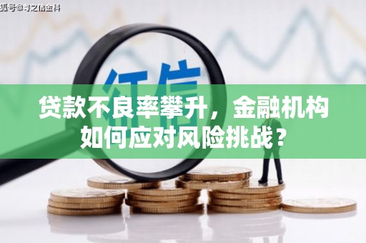 江川贷款不良率攀升，金融机构如何应对风险挑战？