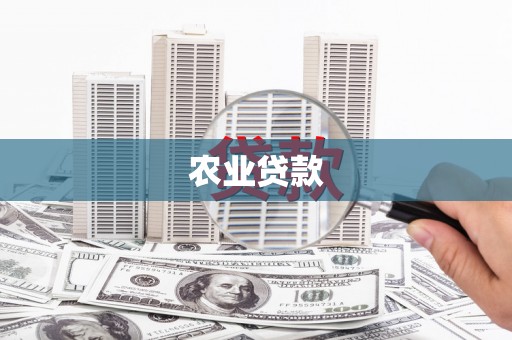 江川农业贷款