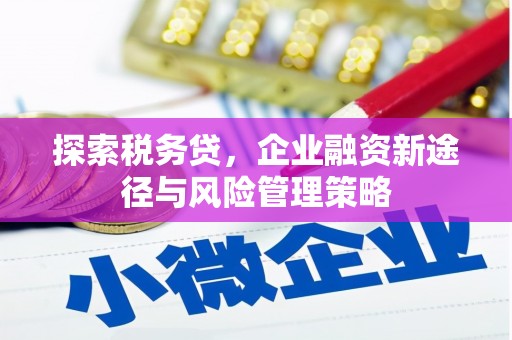 江川探索税务贷，企业融资新途径与风险管理策略